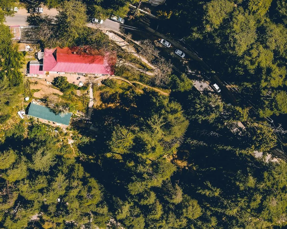 Seclude Shimla, Taraview Hotel